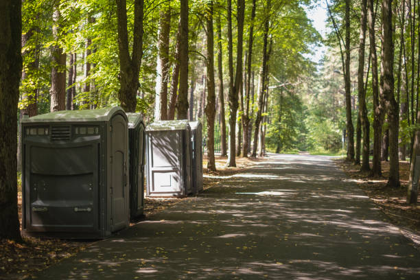 Best Affordable porta potty rental  in Spring Grove, MN